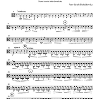 Swan Lake - Theme from the ballet Swan Lake - Part 3 Viola