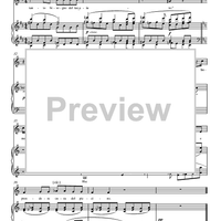 The Foreign Woman's Aria