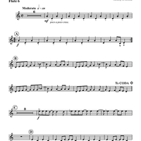 The Global Village Samba - Flute 6