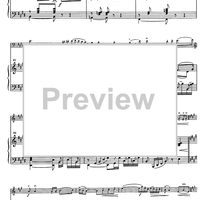 Suite andaluza - Score