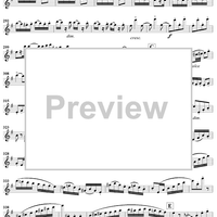 Grand Duo in E Minor, Op. 39, No. 1 - Flute 1