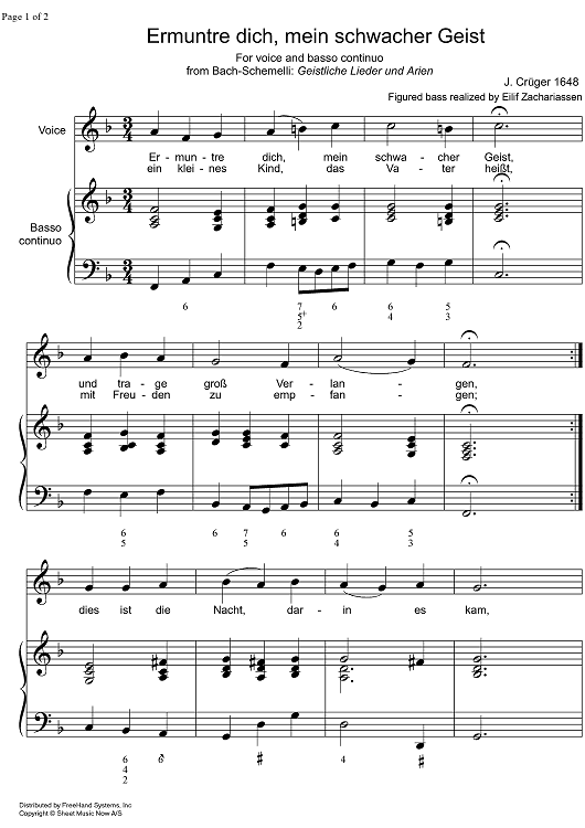 Ermuntre dich, mein schwacher Geist