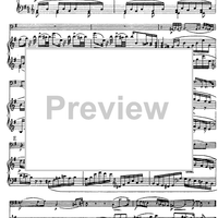 Variations on a Theme by Mozart - Score