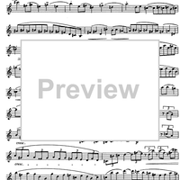 Preliminary studies to 'The Accomplished Clarinettist' Vol. 2 - Clarinet