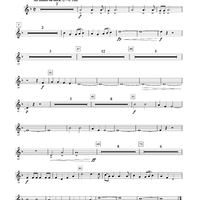 The Wellerman Come - Bb Trumpet 2