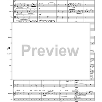 Jazz Suite  for Solo Violin, String Orchestra, and Rhythm - Score