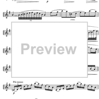 Capriccio No.13 G Major