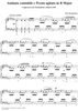 Andante cantabile e Presto agitato in B Major