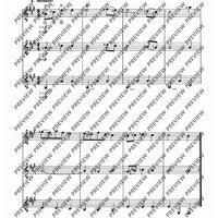 Zwölf Cassationsstücke - Performing Score