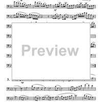 Solo Etudes for Euphonium - Euphonium