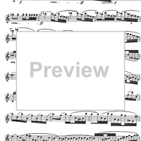 The Accomplished Clarinettist Vol. 2 - Clarinet