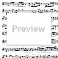 Preliminary studies to 'The Accomplished Clarinettist' Vol. 2 - Clarinet