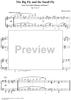 Norwegian Folksongs and Dances Op.17 No.17, The Big Fly and the Small Fly