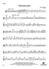 Wingwalker - Flute 1