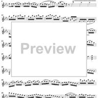 Violin Concerto No. 6 - Solo Violin