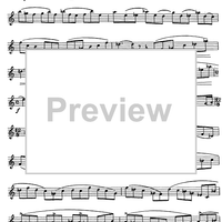 Preliminary studies to 'The Accomplished Clarinettist' Vol. 2 - Clarinet