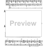 The 'Clave', 'Tumbao', 'Piano Montuno' and other Latin rhythms