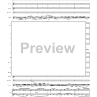Violin Concerto in E Minor, Movement 1 - Full Score