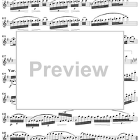 Variations on Trockne Blumen - Flute