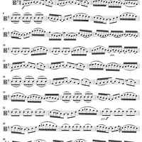 "Gleichwie die wilden Meeres-Wellen", Aria, No. 3 from Cantata No. 178: "Wo Gott der Herr nicht bei uns hält" - Viola