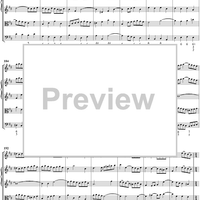 Orchestral Suite No. 2 in B Minor - Score