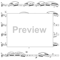 Duet No. 5 from Six Easy Duets, Op. 137 - Flute 2