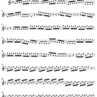 Flute Concerto in F Major, Op. 10, No. 1 ("La Tempesta di Mare") - Violin 1