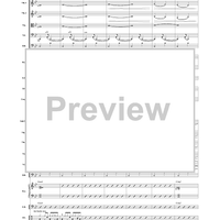 Brazilian Spice - Score