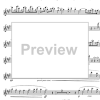 Quintet Op.43 - Flute