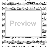 The Accomplished Clarinettist Vol. 1 - Clarinet