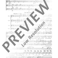 Quartetto after Matiegka's Notturno - Score and Parts