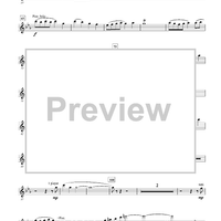 The Wellerman Come - Flute 1/Piccolo