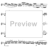 Twenty-Four Caprices: Nos. 1 - 12