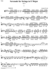 Serenade for Strings in E Major, Op. 22 - Viola