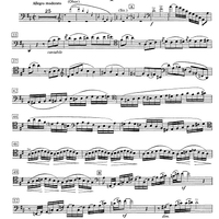 Concerto D Major - Cello