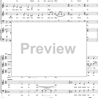 Those Sweet Delightful Lilies