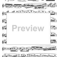 The Accomplished Clarinettist Vol. 2 - Clarinet