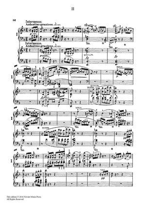 Piano Concerto in A Minor, Opus 54 for 2 Pianos - 2nd Movement