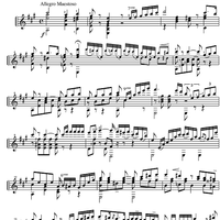 Grand Solo Op.24