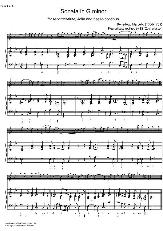 Sonata g minor - Score