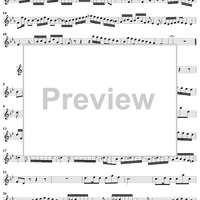 Flute Sonata No. 2 in E-flat Major, BWV1031 - Flute