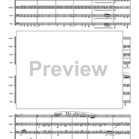 With A Little Bit Of Flash - Score