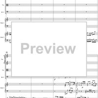 Double Clavier Concerto No. 2 in C Major, Movement 1   (BWV 1061) - Score