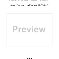 Said I That Amarillis?