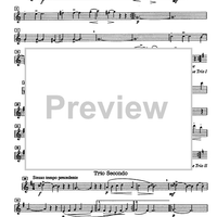 Ballo campestre Op.49 - Flute