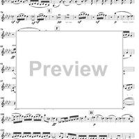 String Quartet No. 11 in F Minor, Op. 95 - Violin 2