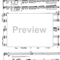 Impromptu No. 2 Op.70 - Score