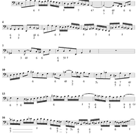 Double Violin Concerto - Continuo