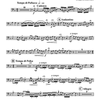 Maid of the Mist - Tuba