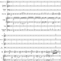 Oboe Concerto in C Major, HobVIIg/C1 Movement 3 - Full Score